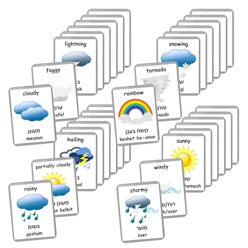 Hebrew English Bilingual Flash Cards | Laminated Flash Cards | Montessori Cards | Choose Your Set (Weather)