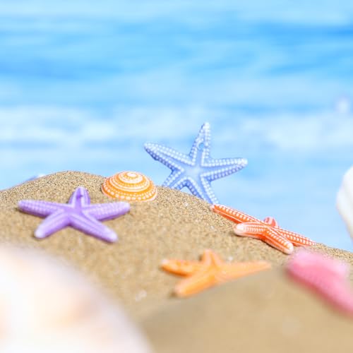 TENDYCOCO Mini Beach Seashells Sea Star Seahorse Natural Conch for Home Decorations Beach Theme Party Wedding DIY Crafts Fish Tank Vase Fillers Bonsai Decor 48pcs
