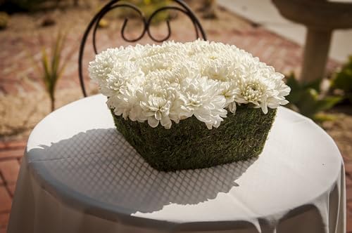 SuperMoss (55170 Santee, Fresh Green, Fits 2 Blocks for Floral Foam