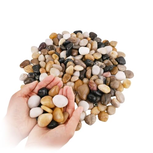 Natural River Rocks 1-2 Inch Ornamental Polished Pebbles Pebbles for Indoor Plants Small Rocks Decorative Rocks for Potted Plants Aquarium Gravel River Rocks for Plants,Aquarium,Fish Tank,Vases 1 LB - size: 1 LB Bag