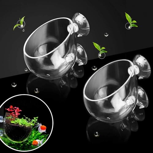 2 PCS Aquarium Plant Holder Top Hanging Fish Tank Plant Pot Aquarium Planter Cups for Water Feature Decoration - color: Round - Clear