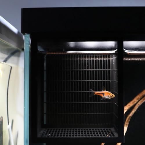 Aquarium Fry Breeding Box with Ventilation Holes Oxygen Easy Mount Easy to Mount Fish Isolation Tanks - color: Black