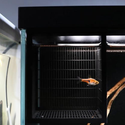 Fry Isolation Box,Aquariums Fishing Fry Isolation Box for Secure Habitat Bettas Fry Ventilation Holes Oxygen Flows Easyly Install - color: Black