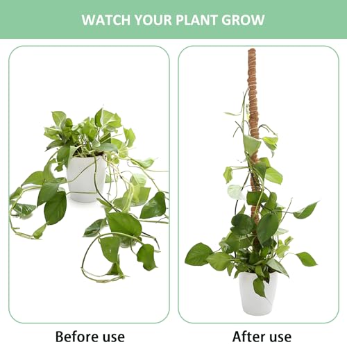 Numola 2 Pack Moss Pole Monstera Plant Support Stakes for Indoor Plants, 28 Inch Bendable Coir Trellis Plant Stick Support for Potted Climbers to Grow Upwards, Vines Traction Clips with Repotting Mat