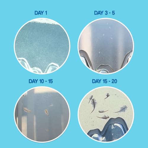 World’s Smallest Aqua Dragons, Live Aquatic Pets Hatch & Grow Miniature Science Kit for Ages 6 and up