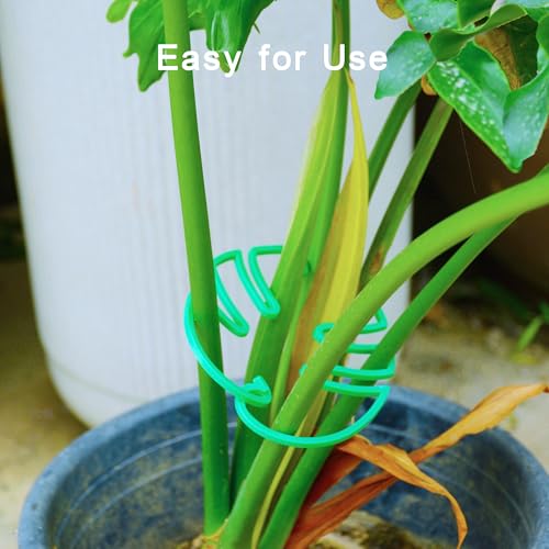 Plant Stem Supports for Indoor Plants, Reusable Monstera Plant Support, Plant Propagation Buddy, Sturdy Houseplant Accessories, Stable Leaf Buddy Plant Support Stakes, 6PCS Green
