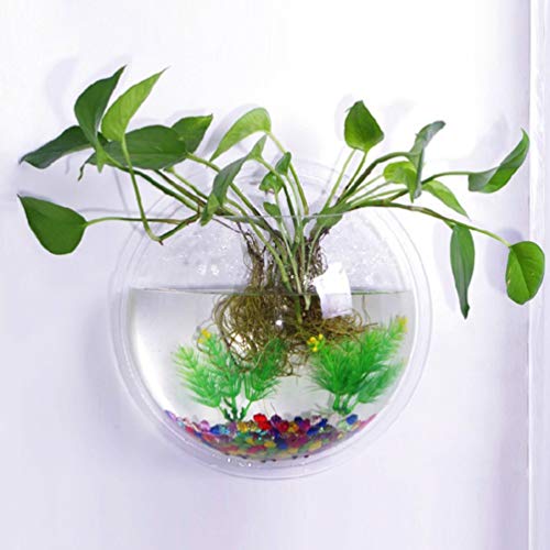 iplusmile Wall Mounted Fish Bowl 5.90 Inch Acrylic Hanging Aquarium Tank Transparent Fish Tank Home Decor Space Saving Design - size: 6 Inch