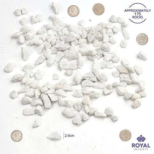 Royal Imports River Rocks, Aquarium Gravel – White 0.25" Gravel - 5 lbs | Decorative Ornamental Vase Filler Pebbles for Potted Plants, Terrariums, Vases, Succulents, Fish Tank Gravel, DIY & Crafting - size: 0.25" Gravel - 5 lbs, style: White