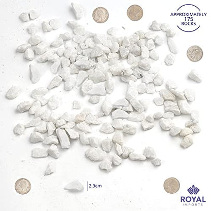Royal Imports River Rocks, Aquarium Gravel – White 0.25" Gravel - 5 lbs | Decorative Ornamental Vase Filler Pebbles for Potted Plants, Terrariums, Vases, Succulents, Fish Tank Gravel, DIY & Crafting - size: 0.25" Gravel - 5 lbs, style: White