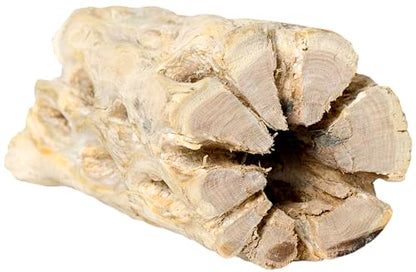 Galapagos 05272 Cholla Wood for Aquarium, 24", Natural
