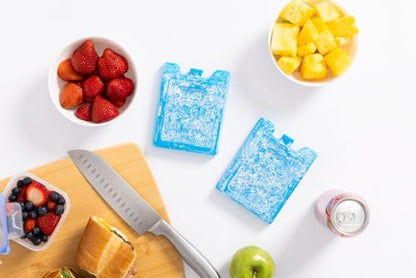 Igloo Maxcold Ice Block - color: 4pk small