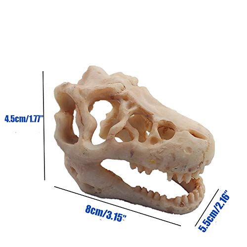 Resin Dinosaur Skull Aquarium Ornament Mini Dinosaur Tank Decoration Betta Fish Small Dinosaur Skull Fish Reptile Tank with Holes Aquarium Landscape Reptile Hideout Caves