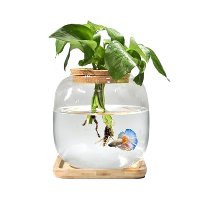 Betta Fish Bowl Glass Small Fish Tank with Bamboo Stand, Plant Propagation Station Hydroponic Terrarium with Lid beta Fish Aquariums 0.6 Gallon