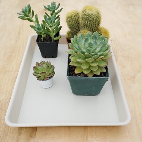 VUWEZ Rectangle Plant Tray, Plant Drip Tray, Plant Pot Saucers, Plant Germination Trays, Plant Saucers, 11'' x 9'' x 1.2'' (2 pack), Beige - color: Beige, size: 11'' x 9'' x 1.2'' (2 pack)