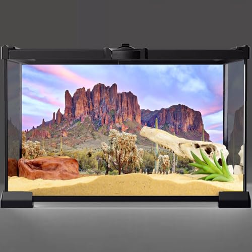 AWERT 24x12 inches Terrarium Background Blue Sky Cloud Mountain Huge Cactus Joshua Trees Oasis Gobi Reptile Habitat Background Vinyl - size: 24x12in/60x30cm