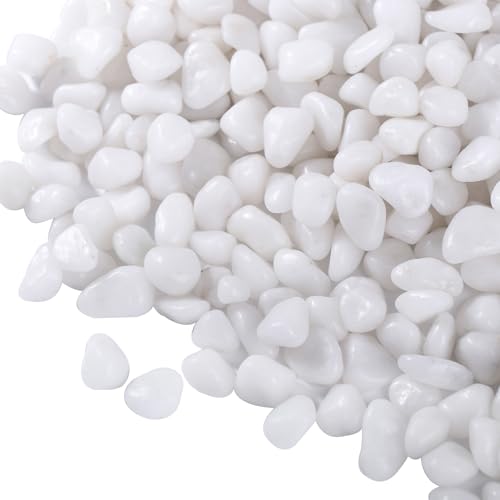 30lb White Polished Pebbles for Plants, 3/8 inch Decorative Rocks | Small Stones for Potted Planters, succulents, Vases, Landscaping Drainage and Outdoor Gardening - size: 30lb, style: White