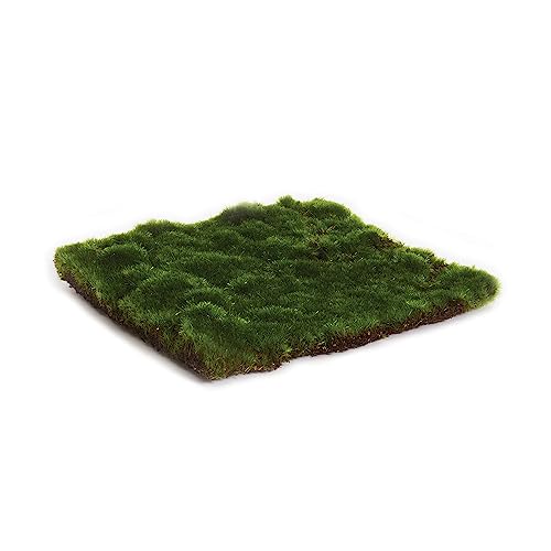 NAPA Home & Garden, Moss Sheet Square 8"