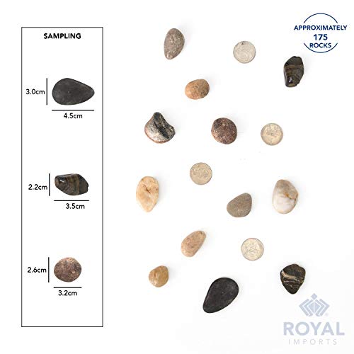 Royal Imports River Rocks, Aquarium Gravel – Natural 1"- 1.5" - 2 lbs | Decorative Ornamental Vase Filler Pebbles for Potted Plants, Terrariums, Vases, Succulents, Fish Tank Gravel, DIY & Crafting - size: 1"- 1.5" - 2 lbs, style: Natural