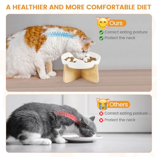 PETTOM Slow Feeder Cat Bowl with Stand, Ceramic Slow Eating Cat Bowl with Higher Edges Fish Pool Design Elevated Food Bowls for Dry and Wet Food Anti-Vomiting Puzzle Feeder for Healthy Eating Diet - color: White