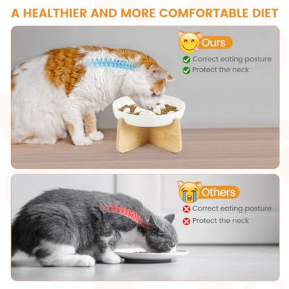 PETTOM Slow Feeder Cat Bowl with Stand, Ceramic Slow Eating Cat Bowl with Higher Edges Fish Pool Design Elevated Food Bowls for Dry and Wet Food Anti-Vomiting Puzzle Feeder for Healthy Eating Diet - color: White