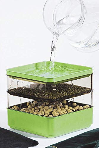 Seed Sprouter Kit, Two Tier Stackable Seedling Starter Tray with Lid, Microgreens Propagator Mini Plant Grow Trays, Germinate Seeds Indoors, Healthy Snacks, Bean Sprouts, Soil Free