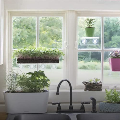 Window Garden Veg Ledge Suction Cup Window Shelf – Create an Indoor Garden, Hold Your Planter Pots, Seed Starter, Figurines on Your Window. Grow Herbs, Microgreens, Succulents, Sleek (2 Pack) - size: 2 Medium (Original)