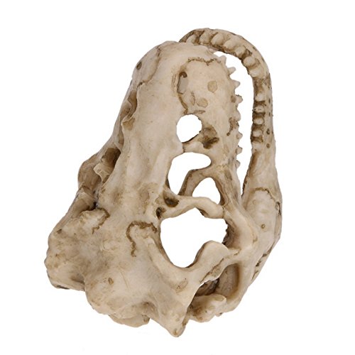 Resin Dinosaur Skull Aquarium Ornament Mini Dinosaur Tank Decoration Betta Fish Small Dinosaur Skull Fish Reptile Tank with Holes Aquarium Landscape Reptile Hideout Caves