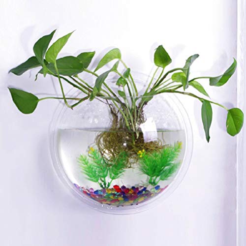 iplusmile Wall Mounted Planter 6.7 Inch, Clear Acrylic Hanging Bubble Vase for Plant Propagation Air Plants, Shatterproof Round Terrarium Bowl for Home Office Decor - size: 7 Inch