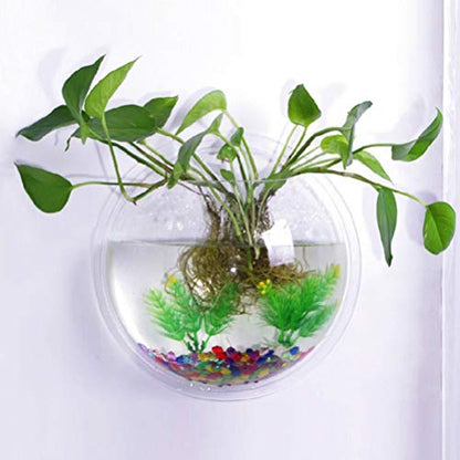 iplusmile Wall Mounted Planter 6.7 Inch, Clear Acrylic Hanging Bubble Vase for Plant Propagation Air Plants, Shatterproof Round Terrarium Bowl for Home Office Decor - size: 7 Inch