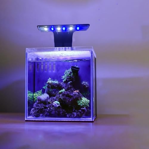 Clip-on Aquarium Light 5w (3 Timers, 3 Modes, 10 Dimming, Split Power) for Coral, Reef, Saltwater Fish, Algae Scrubber Nano/Mini/Pico/Refugium Tank,1-5Gallon(5-8in) Aquarium - size: M-5w
