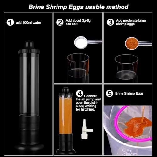 Bubble Magus Brine Shrimp Eggs/sea Monkey Eggs/Live Fish Food/Fairy Shrimp Egg Artemia high Protein Fish Food for brine Shrimp Hatchery 、 Clownfish Food 、 Reef roids Coral Food 、Feeder Guppies、beta - size: 1 Ounce (Pack of 1)
