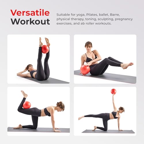 Sunny Health & Fitness Premium Anti-Burst Exercise & Stability Ball | 660LB Capacity, Yoga, Pilates, Physical Therapy, Recovery, Prenatal Comfort, Non-Slip Texture, Non-Toxic, Odor-Free - style: 9-inches/23cm