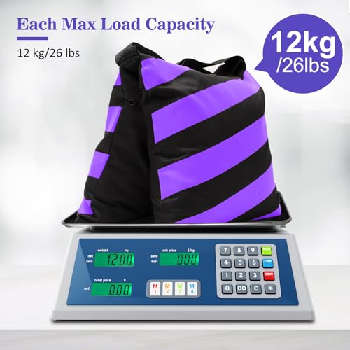 4 Packs Purple Sandbag Weight Bags for Light Photography Video Equipment | Heavy Duty Saddlebags for Backdrop Stand, Photo Tripod, Canopy, Pop up Tent, Umbrella Base, Fishing Chair, Picnic Table - color: Purple