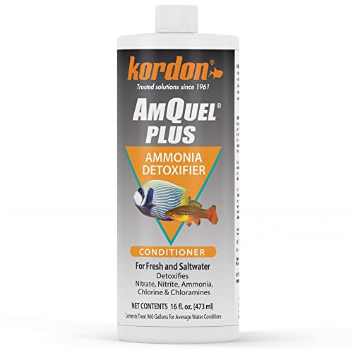 Kordon AmQuel Plus Aquarium Water Conditioner - Instantly Detoxifies Ammonia, Nitrite, Nitrate, and Chlorine Remover for Freshwater & Saltwater Aquariums, 16 Ounces - size: 16 Ounces