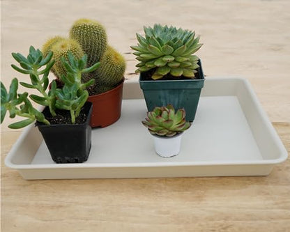 VUWEZ Rectangle Plant Tray, Plant Drip Tray, Plant Pot Saucers, Plant Germination Trays, Plant Saucers, 11'' x 9'' x 1.2'' (2 pack), Beige - color: Beige, size: 11'' x 9'' x 1.2'' (2 pack)