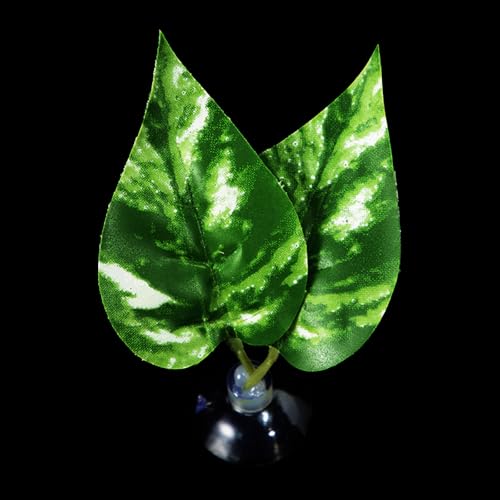 Suction Cup Pad Resting Bed for Bettas Fish Hammock Fishtanks Spawning Ground Aquariums Breeding Supply Fishtanks Ornament - color: Y10 model