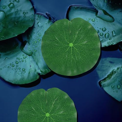 Simulated Lotus Leaves Floating Pond Decoration 5pcs Set 10-38cm Artificial Fish Tank Lotus-Leaf Water Lily Pads for Aquarium Garden Water Surface Display