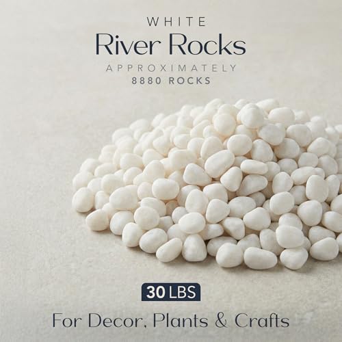 Royal Imports River Rocks, Aquarium Gravel – White 0.5"- 0.75" - 30 lbs | Decorative Ornamental Vase Filler Pebbles for Potted Plants, Terrariums, Vases, Succulents, Fish Tank Gravel, DIY & Crafting - size: Small - 30 lbs, style: White