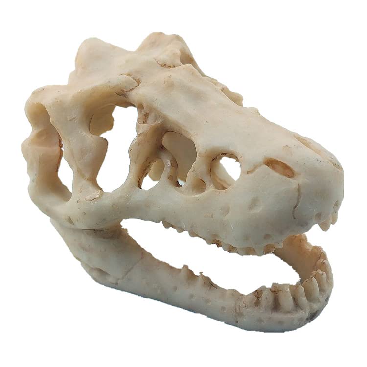 Resin Dinosaur Skull Aquarium Ornament Mini Dinosaur Tank Decoration Betta Fish Small Dinosaur Skull Fish Reptile Tank with Holes Aquarium Landscape Reptile Hideout Caves