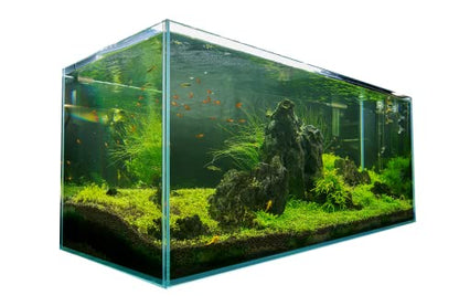 120P 72.2 Gallon Rimless Low Iron Aquarium Fish Tank, W47.2 × D19.7 × H19.7 (120x50x50cm) 12mm Thickness with Black Nano Foam Leveling mat Included - size: 72.2Gal W47.2 × D19.7 × H19.7 (120x50x50cm)