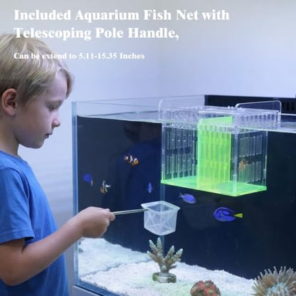 Green Acrylic Aquarium Breeder Box, 7.4x5.3x6.3 in Hang-On Fish Isolation Box with Long Handle Net, Removable Divider & Feeding Hole for Betta Guppy Shrimp Freshwater Saltwater - color: Green, size: 7.4x5.3x6.3in