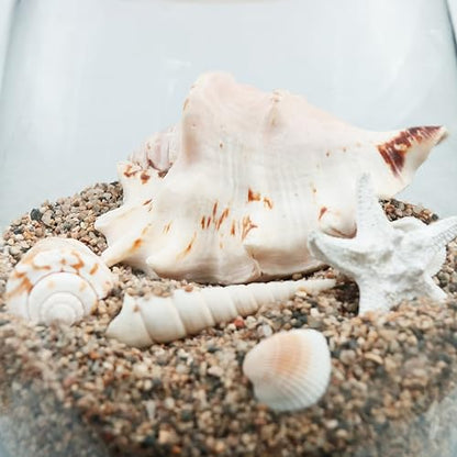 11lbs Aquarium Silica Gravel, 1-2mm Fish Tank Substrate, All Purpose Mixed Silica Sand for Aquarium, Fire Pits, and Landscaping - color: Mixed, size: 11LB