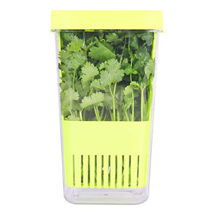 LUVCOSY Herb Keeper, BPA-Free Plastic Herb Saver with an Inner Basket for Cilantro, Mint, Parsley, and Asparagus, Keeps Fresh Herbs for 3 Times Longer,1Pcs, Green - color: Herb Keeper - Green