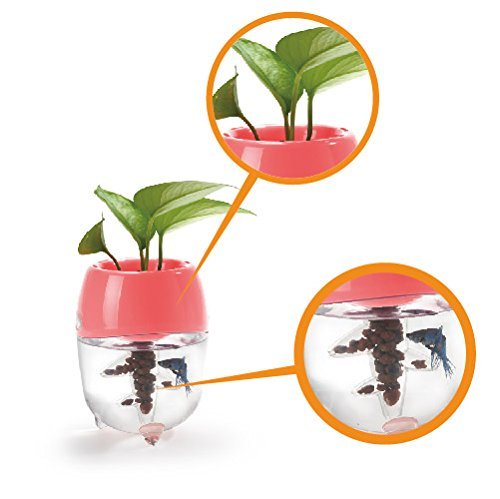 Dr. Moss Aquaponic Fish Tank Aquarium for Betta Fish with Water Garden Planter Top Lid Natural Ecosystem for Plant Growth (Green)