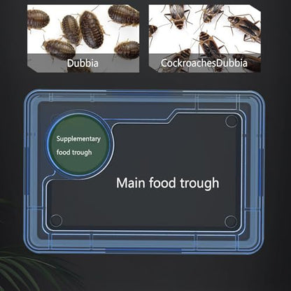 Anti-Escape Crested Gecko Food Dish, Transparent Chameleon Feeding Bowl, Acrylic Reptile Amphibian Habitat Feeders, Pet Supplies, for Tortoise Frog Snake Terrarium Lizard Spider - color: Blue