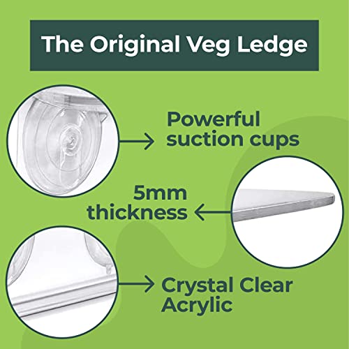 Window Garden Veg Ledge Suction Cup Window Shelf – Create an Indoor Garden, Hold Your Planter Pots, Seed Starter, Figurines on Your Window. Grow Herbs, Microgreens, Succulents, Sleek (3 Pack) - size: 3 Medium (Original)
