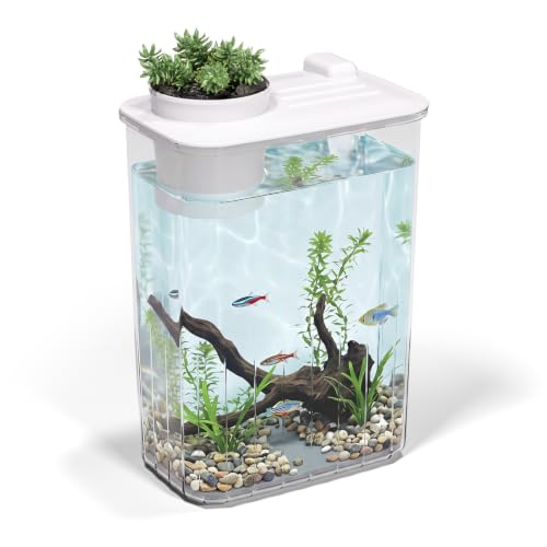 1 Gallon Betta Fish Tank Aquarium Starter Kit with Light and Lid(White) | Premium Acrylic Aquarium with Light and Lid, Crystal Clear Starter Kit for Betta Fish, Shrimp, Snails and Small Fish - color: White, size: 1 Gallon
