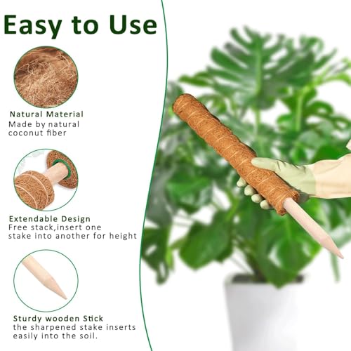 Moss Pole, 2Pack 21 Inch Plant Support Stakes for Indoor Plants, Monstera Plant Support Stakes, 37 Inch Tall Coir Plant Pole Sticks for Potted Plants, Pothos, Philodendron - size: 2pcs x 21 Inches