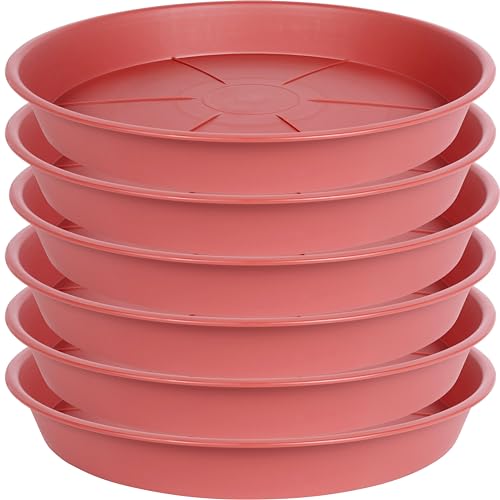 OVZILKI 6 Pack of Plant Saucer Tray 4 6 8 10 12 14 17 19 22 25 inch, Heavy Duty Plastic Pot Plant Drip Trays Saucers for Indoors Outdoor, Plant Water Tray for Planters 4-7" (6", Clay) - color: Clay, size: 6" - 6 Pack