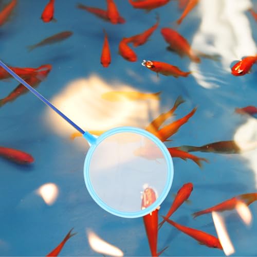 Balacoo 8pcs Plastic Fish Landing Nets with Dense Mesh for Aquarium and Shrimp Tanks Portable Fine Mesh Fishing Nets for Fish Tank Cleaning Random Color
